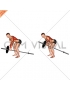 Lever Bent over Row (plate loaded)