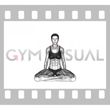 Sitting Side Neck Stretch (VERSION 2) (female)