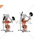 Lever Chest Press (plate loaded)