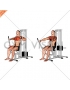 Lever Chest Press