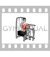 Lever Seated Single Arm Row (male)