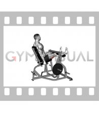 Lever Seated Leg Curl (plate loaded) (male)