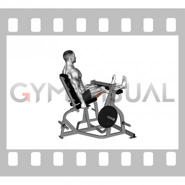 Lever Seated Leg Curl (plate loaded) (male)