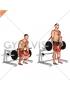 Lever Deadlift (plate loaded)