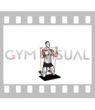 Resistance Band Kneeling Shoulder Press (male)