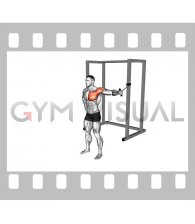 Band Standing Single Arm Chest Fly (male)