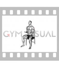 Seated External Rotation on a Chair (male)