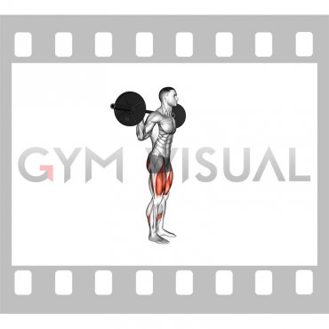 Barbell Forward Backward Lunge (male)