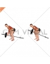 Lever One Arm Bent over Row (plate loaded)