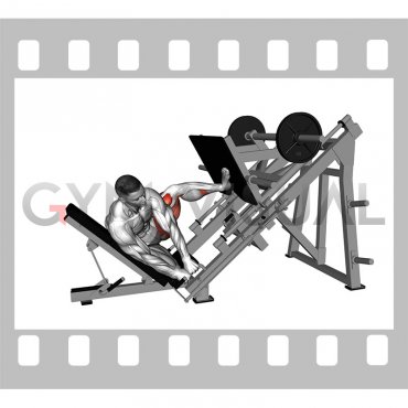 Sled Side Leg Press (male)