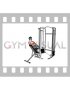 Cable Incline Y Raise with Back Support (male)