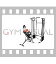 Cable Incline Y Raise with Back Support (male)