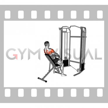 Cable Incline Y Raise with Back Support (male)