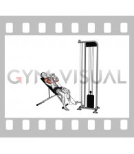 Cable Incline Close Grip Shoulder Press with V Bar (male)