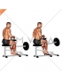 Lever Seated Calf Raise (plate loaded)