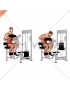 Lever Seated Crunch (chest pad)