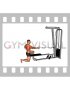 Cable Half Kneeling Single Arm Row (male)