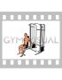 Cable Seated Unilateral Biceps Curl