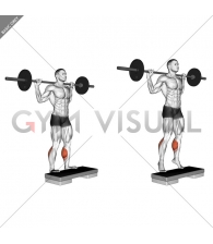 Barbell Standing Leg Calf Raise