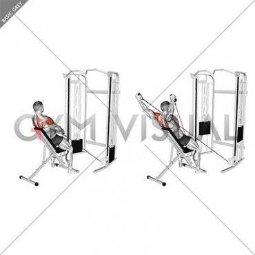 Cable Incline Y Raise with Back Support (male)