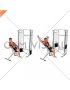 Cable Incline Y Raise with Back Support (male)