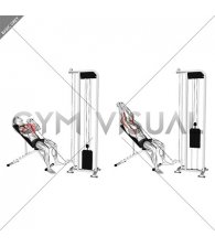 Cable Incline Close Grip Shoulder Press with V Bar (male)