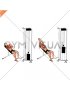 Cable Incline Close Grip Shoulder Press with V Bar (male)