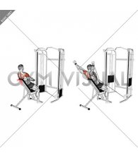 Cable Incline Y Raise Wrist Straps with Back Support (male)