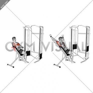 Cable Incline Y Raise Wrist Straps with Back Support (male)