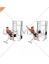 Cable Incline Y Raise Wrist Straps with Back Support (male)