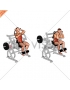 Lever Seated Leg Raise Crunch (plate loaded)