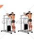 Lever Standing Calf Raise