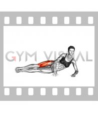 Side Lying Single Leg Kick (female)