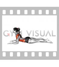 Sphinx Pose Twist (female)