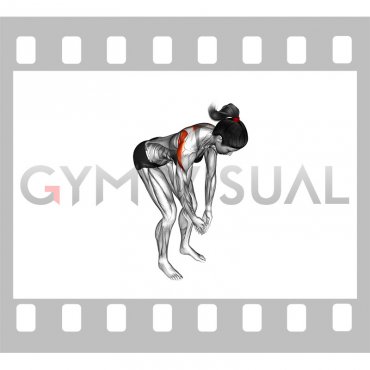 Bodyweight Bent Over Rear Delt Fly (female)