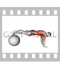 Exercise Ball Pike Pushup