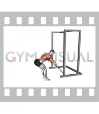 Band Bent Over Rear Deltoid Kickback (male)