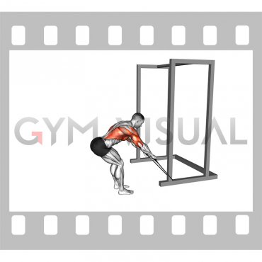 Band Bent Over Rear Deltoid Kickback (male)