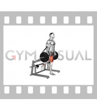 Lever Rear Foot Elevanted Split Squat (plate loaded) (male)