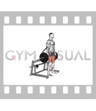 Lever Squat (plate loaded) (male)