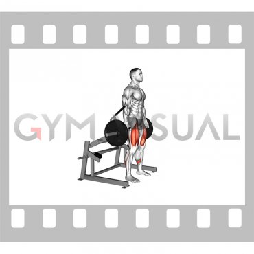 Lever Squat (plate loaded) (male)