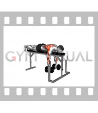 Dumbbell Lying Neutral Grip Row on Rack