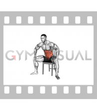 Seated Alternate Back Rotation on a Chair (male)