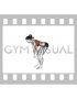 Bodyweight Bent Over Row (female)