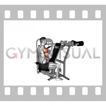 Lever Reverse Seated Shoulder Press