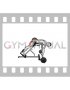 Barbell Hyperextension (male)