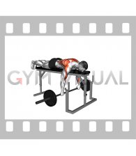 Barbell Lying Seal Row on Rack