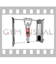 Cable Hanging Leg Raise