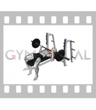 Barbell Explosive Bench Press