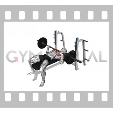 Barbell Explosive Bench Press